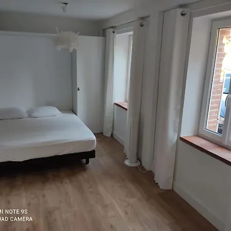 Avec Piscine, Spa, Terrain De Petanque, Baby Foot, Ping Pong Villa Labarthe-sur-Lèze