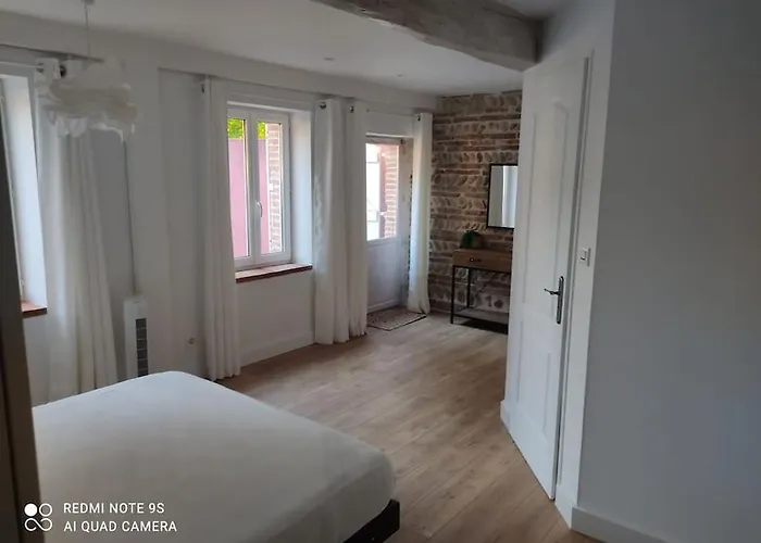 Avec Piscine, Spa, Terrain De Petanque, Baby Foot, Ping Pong Labarthe-sur-Leze