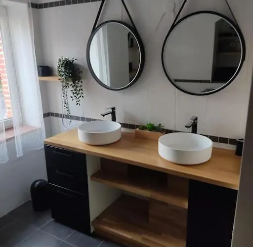 Avec Piscine, Spa, Terrain De Petanque, Baby Foot, Ping Pong Labarthe-sur-Leze